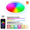 Smart Rgb Round Ceiling Light Fixture Spotlight Warm/white Lamp Dimmable Led Bluetooth Or Wifi 16 Colors Night Home Decor Lights