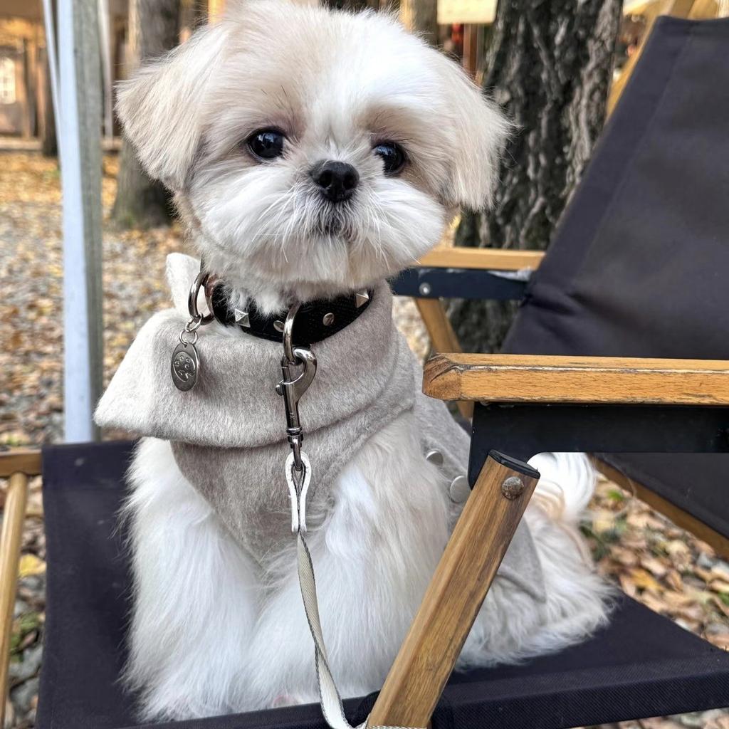 Haustier Hund Kleidung Herbst und Winter winddicht einfach lässig Trenchcoat klein und mittel Haustier Xisch Malteser Yorkshire