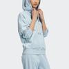 Adidas Originals Trefoil Co Hoodie 1 Casual Retro Sports Breathable Hooded Long Sleeve Sweatshirt Women hoodies Sky-Blue HC0320