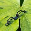 100PCS Garden Plant Flowers Tied Bundle Branch Clamp Clip Class Tools Flowers Vegetables Vine