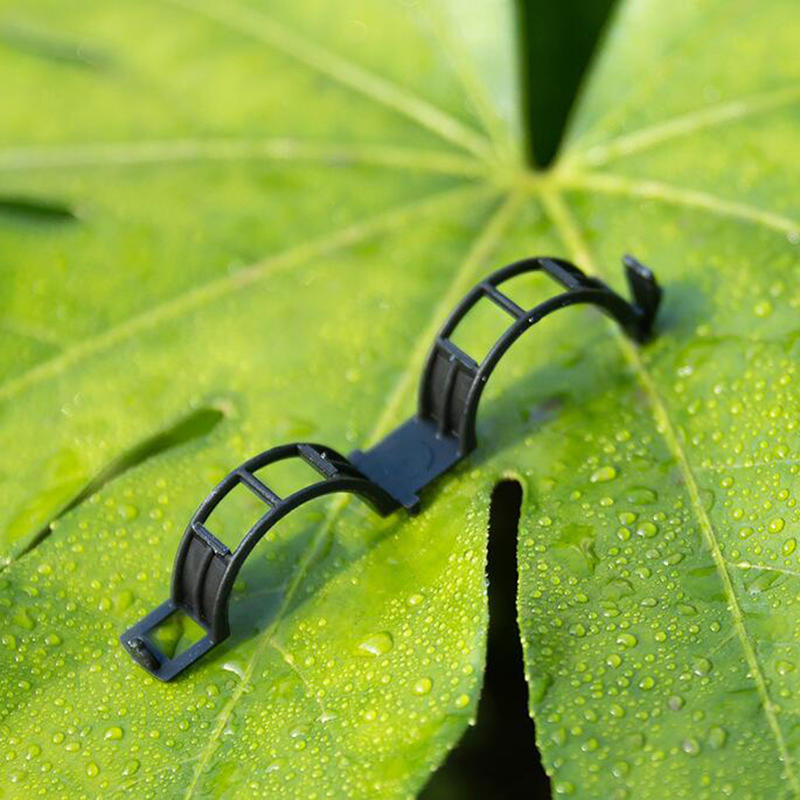 100PCS Garden Plant Flowers Tied Bundle Branch Clamp Clip Class Tools Flowers Vegetables Vine