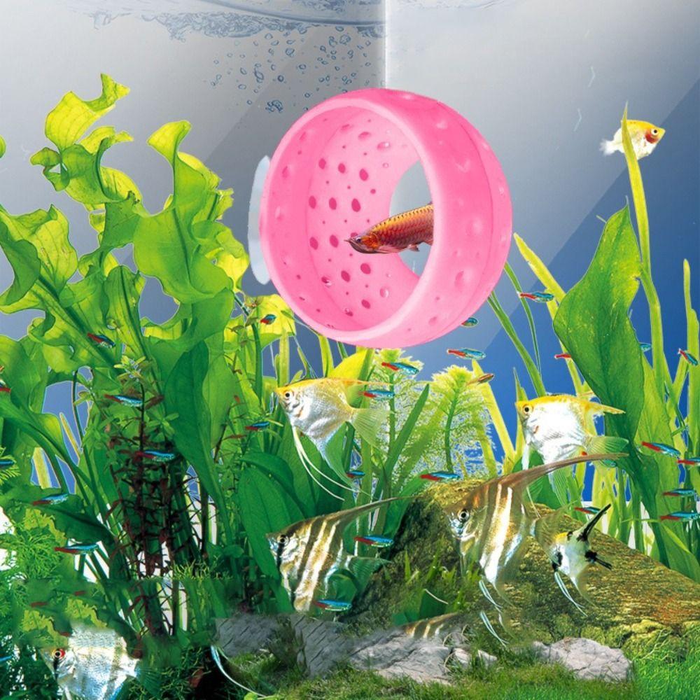 Decorative Bettas Hiding Place Hollow Breeding Hide Caves Aquarium Habitat  Fish Tank Accessory