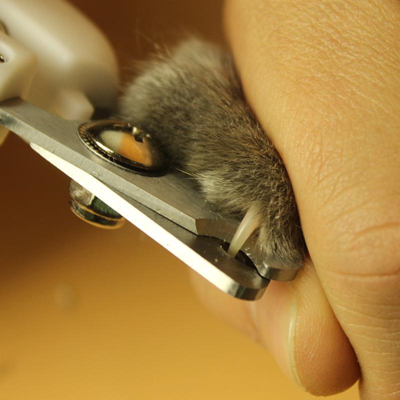 New Fashionable Stainless Steel Pet Nail Clippers for Dogs