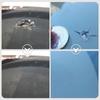 Front Window Repair Kit Liquid Glass for Car Cracked Glass Repairing Automotive Windshield Regroover Glass Repair Fluid Tools