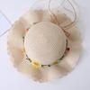 Small Daisy Straw Bag Cap Set Wide Brim Sun Hat Sunscreen Sunshade Hat  for 2-10 Years Girls