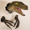 3Pcs/set Hanging Wall-Broken Velociraptor Statues Resin Dinosaur Ornament  Home Decor