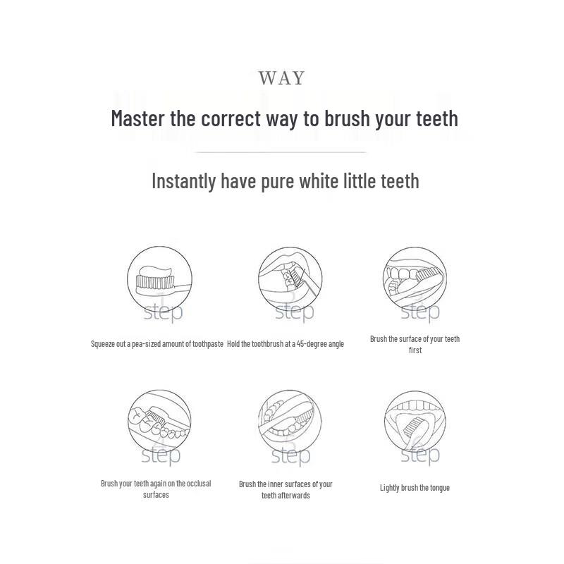 ROAMAN Sonic Electric Toothbrush