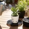 Nursery Seedling Tray With Thickened Drainage Base For Flower Pot Cultivation