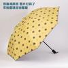 New Model Automatic Sunshade Umbrella for Women, Student Sun Umbrella, 70% off Fold Simple Dual-Use Umbrella for Sun and Rain, 70% off Steel Umbrella