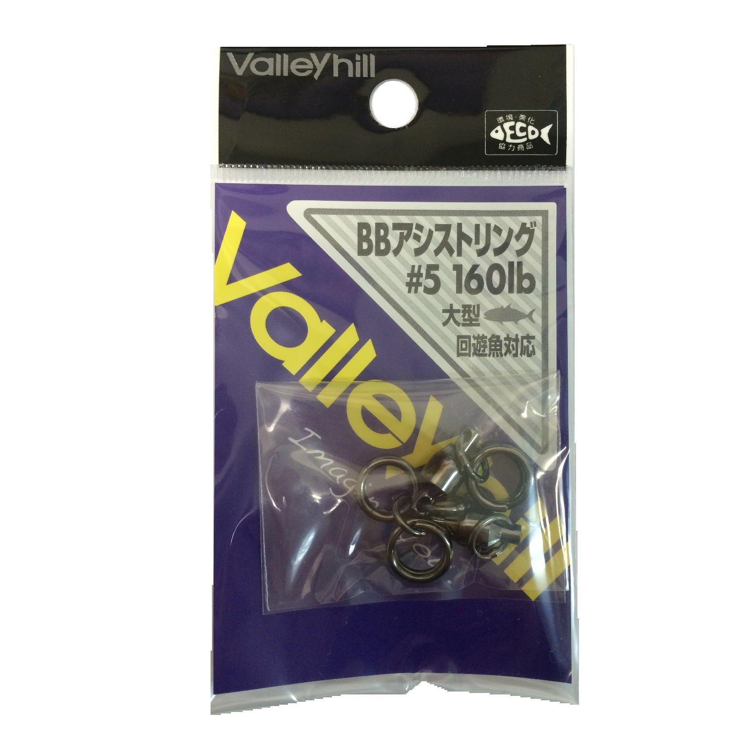 

Valley Hill BB Assist Ring #5