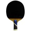 Double Fish 5A+E Table Tennis Racket (Single)