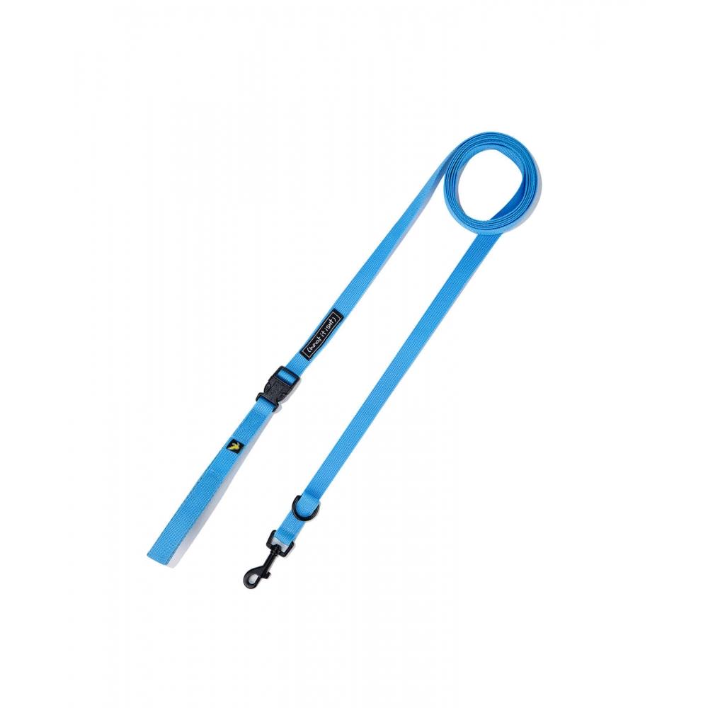 

WHATITISNT WT Lead Cord Blue