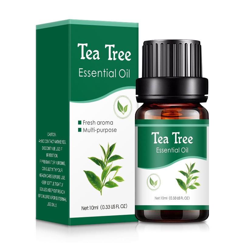 Aromaterapie vodou rozpustný olej Aromaterapie vhodná do zvlhčovače 10ml