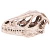 Resin Dinosaur Skull Model Simulated Animal Skeleton Home Office Decor Craft Teaching Prop