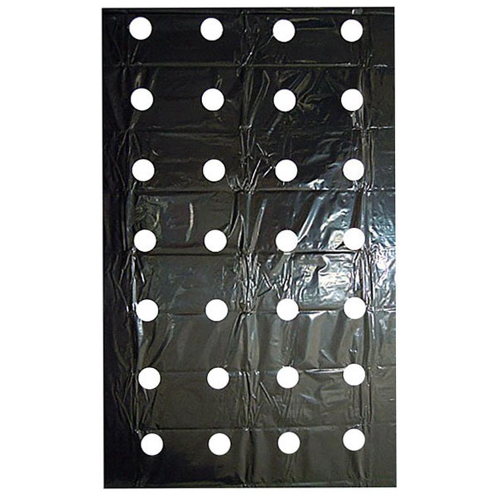 Vegetable Greenhouse Plants Grow Garden Supplies Mulch Film Perforated Film Agriculture Supplies