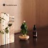 Dance of the Wind Aroma Diffuser: Four Seasons Floral Desk Ornament - Perfect for Birthdays & New Year Gifts