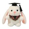 Graduation Bunny Doll, Doctor's Ear Drop Plush Toy Doll, Graduation Commemoration