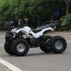 48V 750W Shaft Drive Children's Electric Off-road ATV Buggy with CVT & Three-speed Transmission