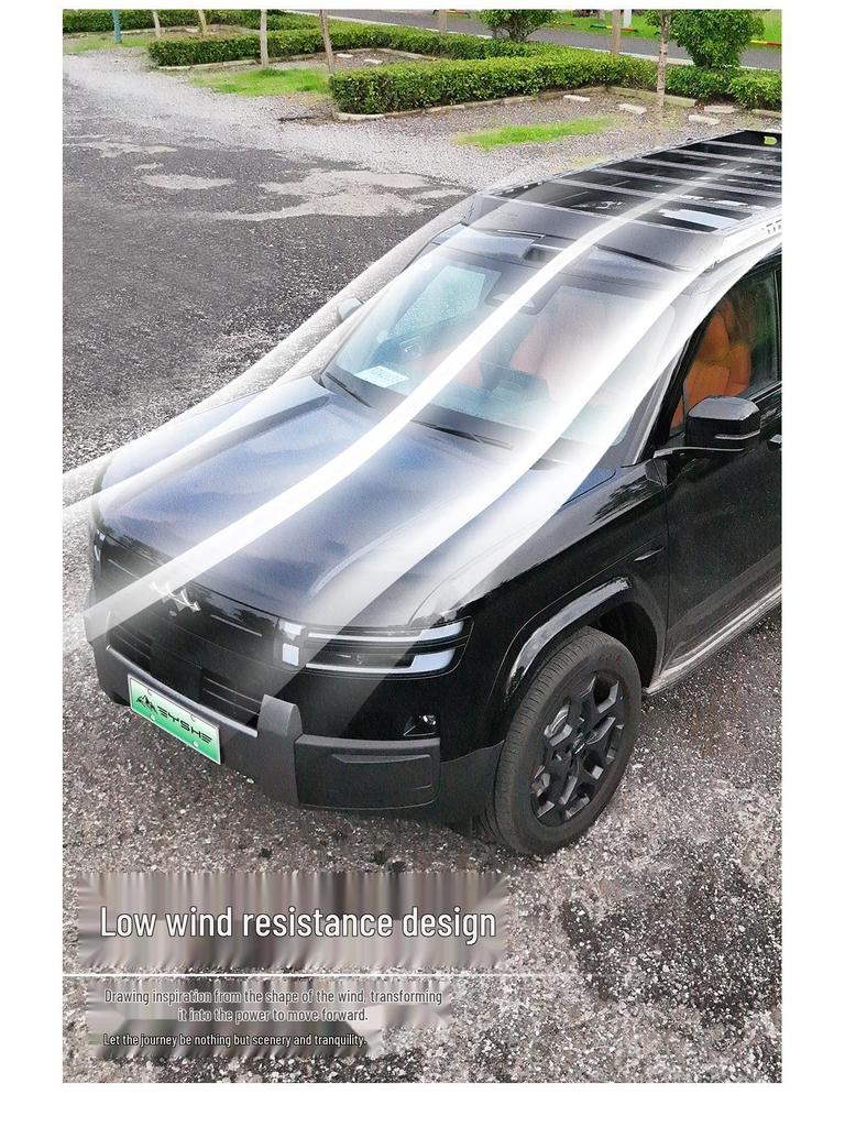 Formula Leopard Titanium 7 Black Panther Roof Rack Side Ladder & Armor Expansion Platform