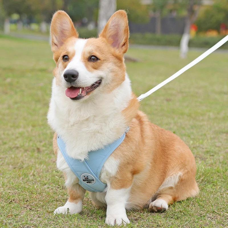 Adjustable Reflective Dog Harness Vest with Leash Set, Breathable Mesh for Small Medium Dogs & Cats, Outdoor Walking Chest Strap