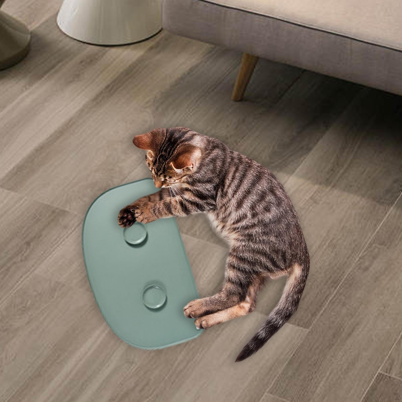 

Dog Food Mat Dogs Feeding Bowl Easy to Clean Raised Edges Non Slip Silicone Portable Puppy Dish green Semicircular