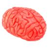 2025 1Pc Halloween Prop Bloody Scary Fake Organ Human Brain Body Parts for Halloween Party Accessories Party Supplies (Dark Red)