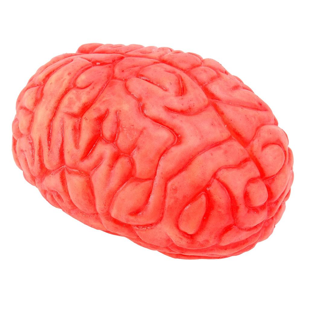 1Pc Halloween Prop Bloody Scary Fake Organ Human Realistic-looking Brain Body Parts for Halloween Party Accessories Dark Red