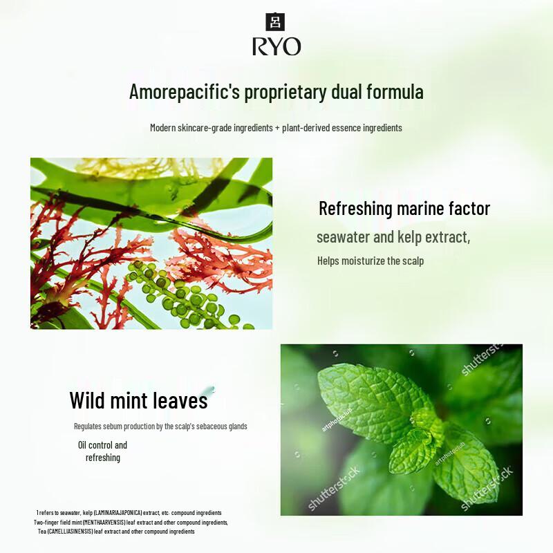 Ryo Purifying Oil Control Shampoo