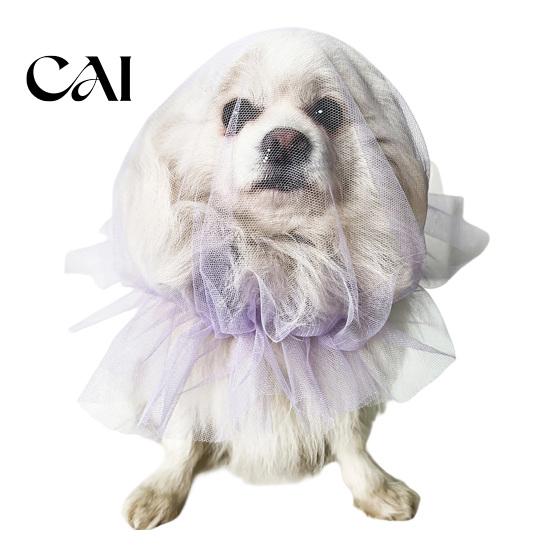 Adjustable Anti-gnaw Net Dog Face Mesh Net, Anti Eating Pet Headgear, Breathable Lightweight Training Accessories Head Cover for Small Medium
