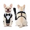 Complete Pet and Leash Set for Everyday Walking , Training and Outdoor Adventures