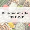 Poradnik Parrotplanet- Bezpieczne Zioła I Przyprawy Dla Twojej Papugi