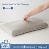 Free Shipping Ice Silk Pillowcases: Set of Two Cooling, High Elasticity, Summer Memory Foam Covers