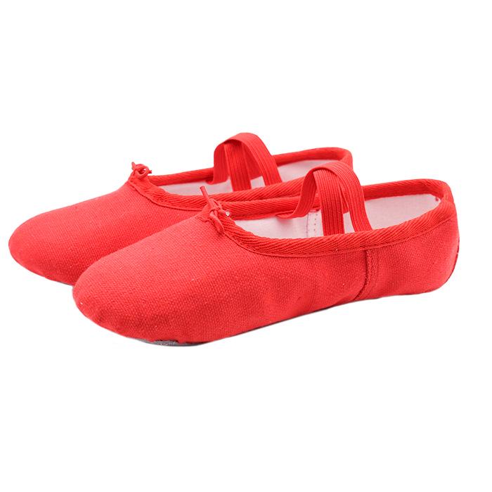 Women's Soft Sole Dance Shoes Non-Slip Cat Paw Ballet Slippers for Yoga,Practice Jazz