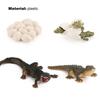 Model Toy Educational Design Early Simulation Plastic Animal Learning Growth Cycle Miniature