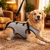 Adjustable Strap Dog Lift Harness Mobility Aid Breathable Dog Assistance Strap Comfortable Pet Rehabilitation Harness