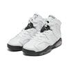 New Jordan 6 Retro Alligator GS 384665-110