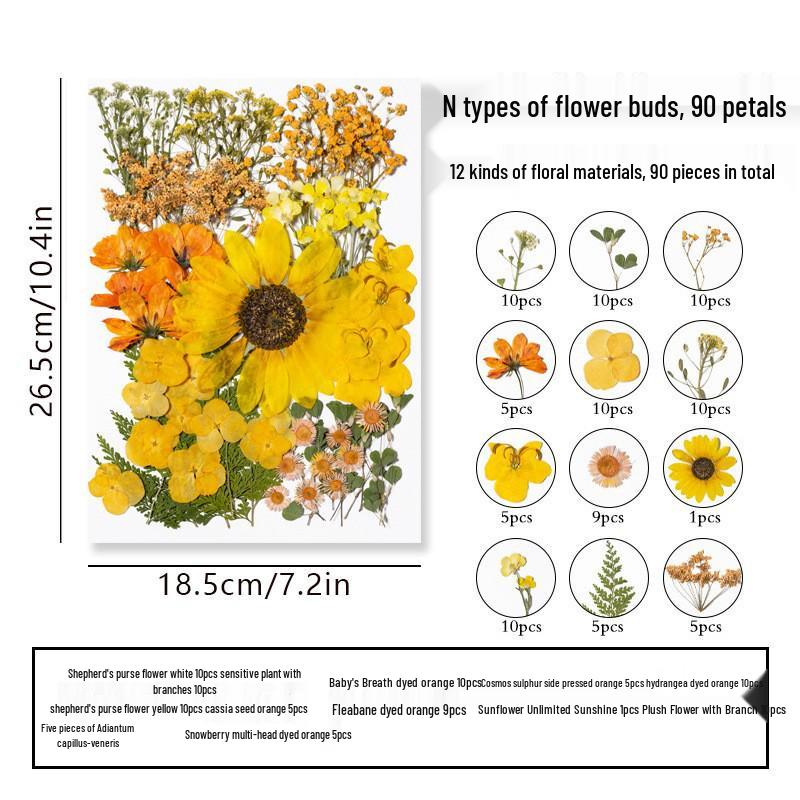 DIY Dried Flower Specimen Sticker Set for Kids: Handmade Pressed Flower Frames & Resin Bookmark Craft Kit