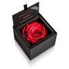 AMOROSA Preserved Flowers Diamond Rose Box 85 Bright Red Roses Gift Flowers Birthday Wedding Anniversary Proposal Dried Flowers AM85FS-30
