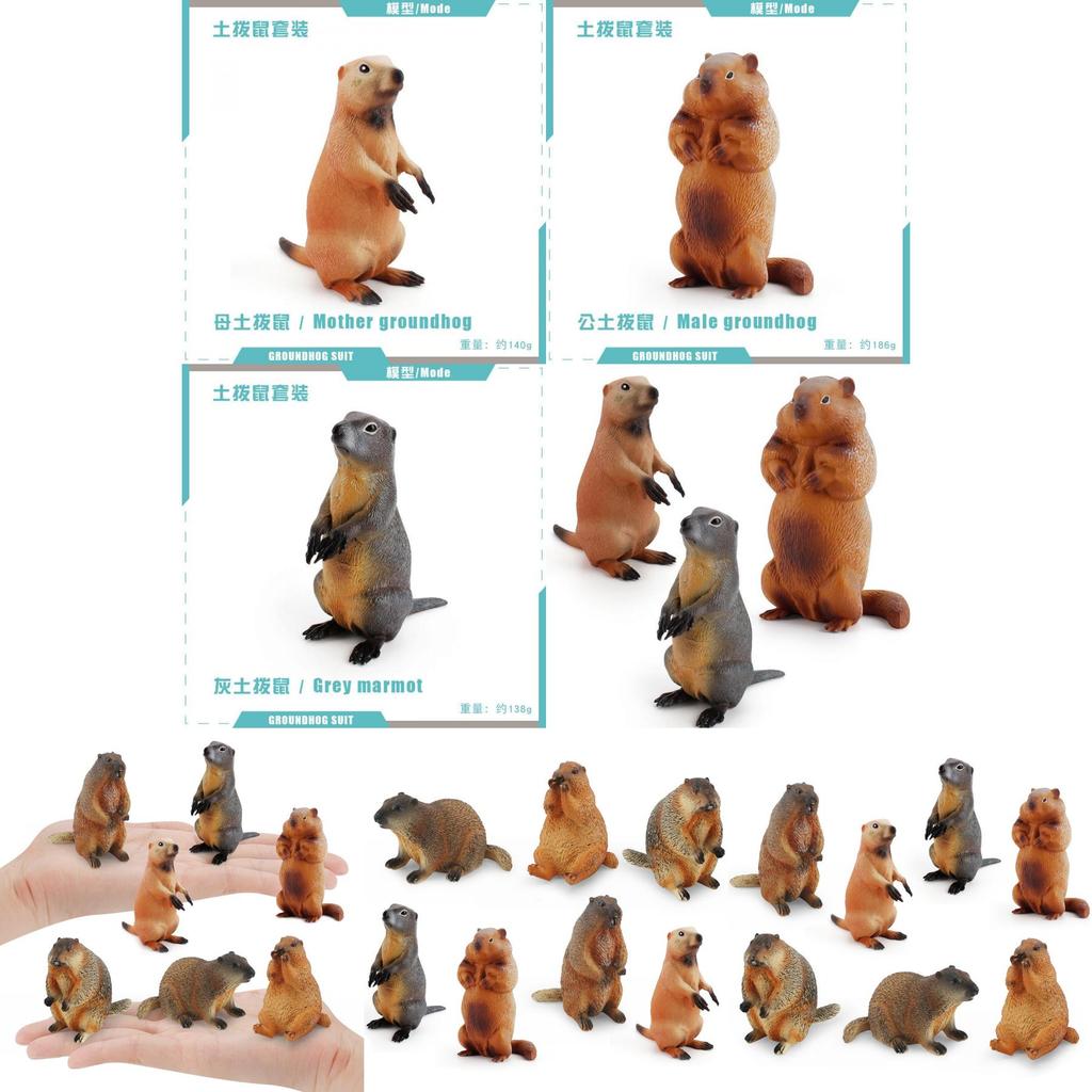 Entzückende PVC-Eichhörnchen-Modellsammlung mit lebensechten Details für Kinder