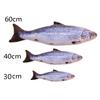 30/40/60cm Cat Catnip Fish Toys for Cats Chats Katten Kedi Plush Stuffed Pet Toy Sphynx Juguetes Para Gatos Mascotas Accessories