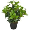 Artificial Plant with Pot Laurel 40 Cm
