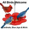 Decorative Hanging Feeder Weather-Resistant Window Feeding Station Bird Water Bowl  Animal Lovers