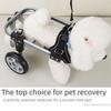 2/4 Wheel Mobility Dog Wheelchair Adjustable Animal Assistance Bracket  Hind Limb Paralysis