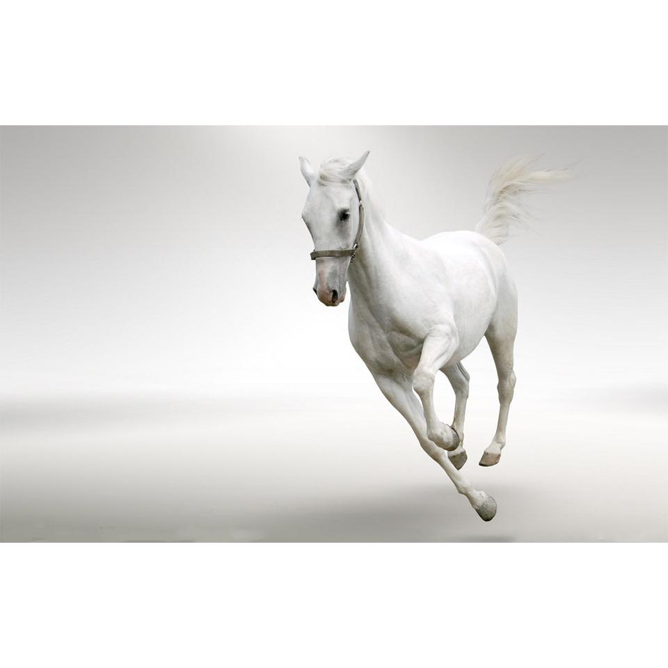 

Белая лошадь 5D DIY алмазная живопись горный хрусталь художественная картина набор для вышивки крестом полная алмазная вышивка мозаика животные домашний декор Full Round 20x30CM