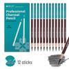 Ousidang Charcoal and Carbon Pencil Art Sketch Set - Speed Sketching with Dedicated Brushes, 14B & 16B