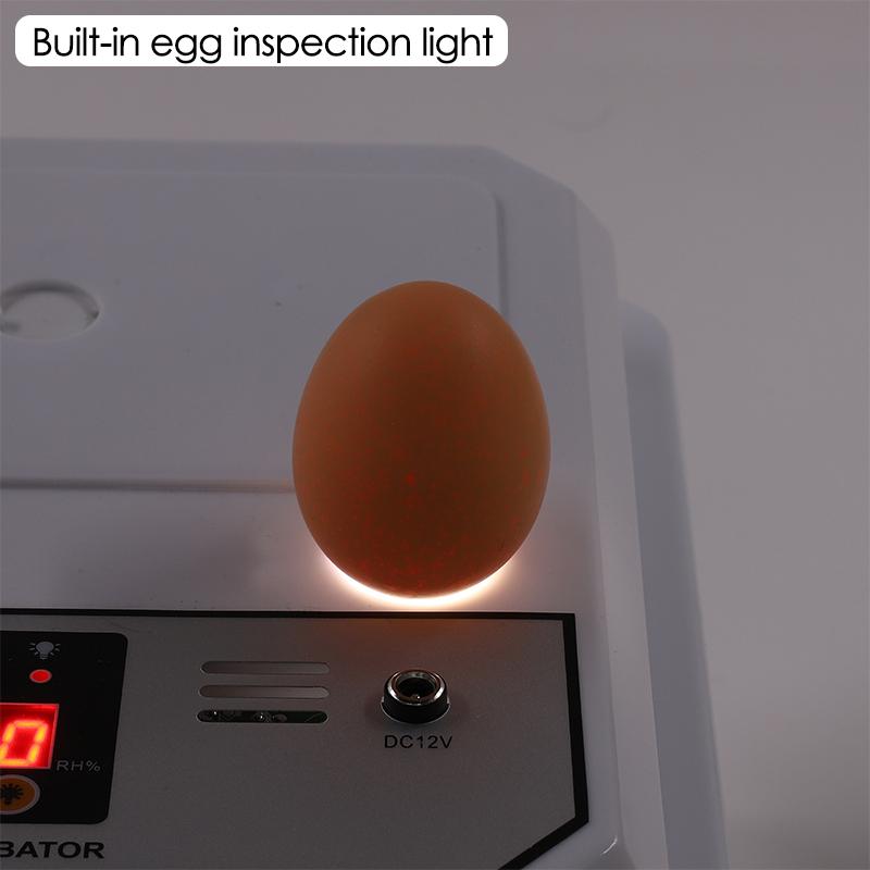 16 Eggs Dual-electric Fully Automatic Turning Egg Incubator Household Farm Poultry Hatching Tool Chicken Ducks Birds Brooder