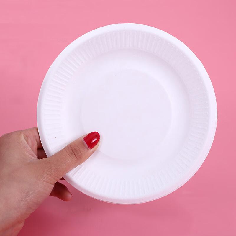 Kids DIY 8-inch Round Painting Paper Plates