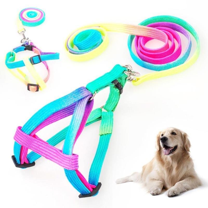 rainbow slip lead