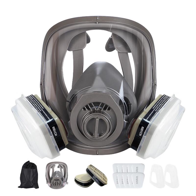DAXTE Reusable Full Face Respirator Mask
