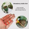 Strawberry Propagation Cups Ventilated Strawberry Plant Starter Cups with And Runner Forks Propagation Containers for Promoting Healthy Growth